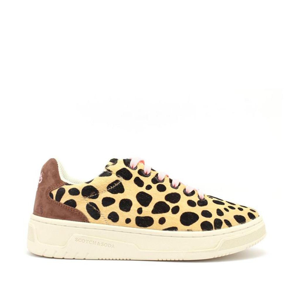 Baskets basses multicolores en cuir Scotch & Soda