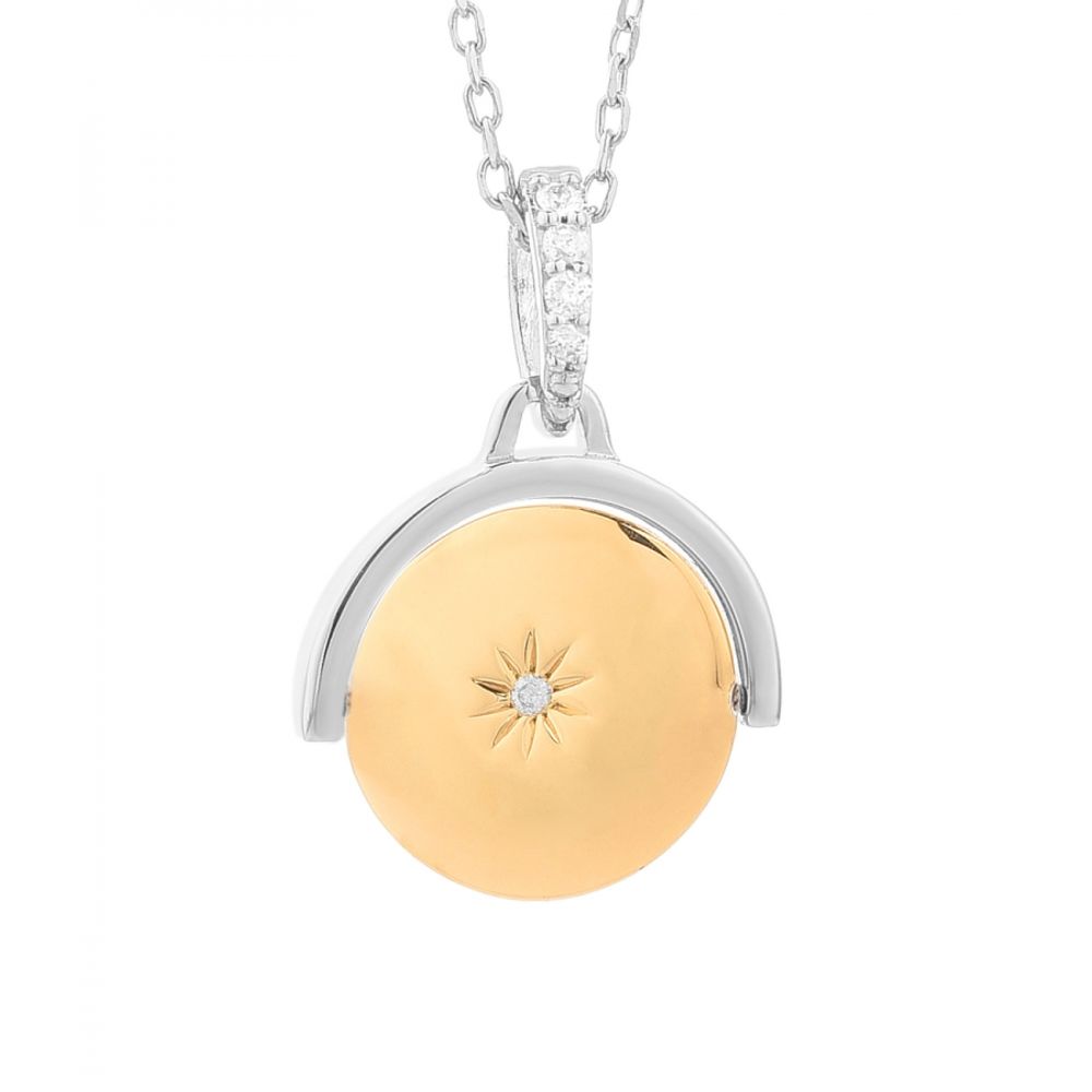 COLLIER SECRET Gray Silver
