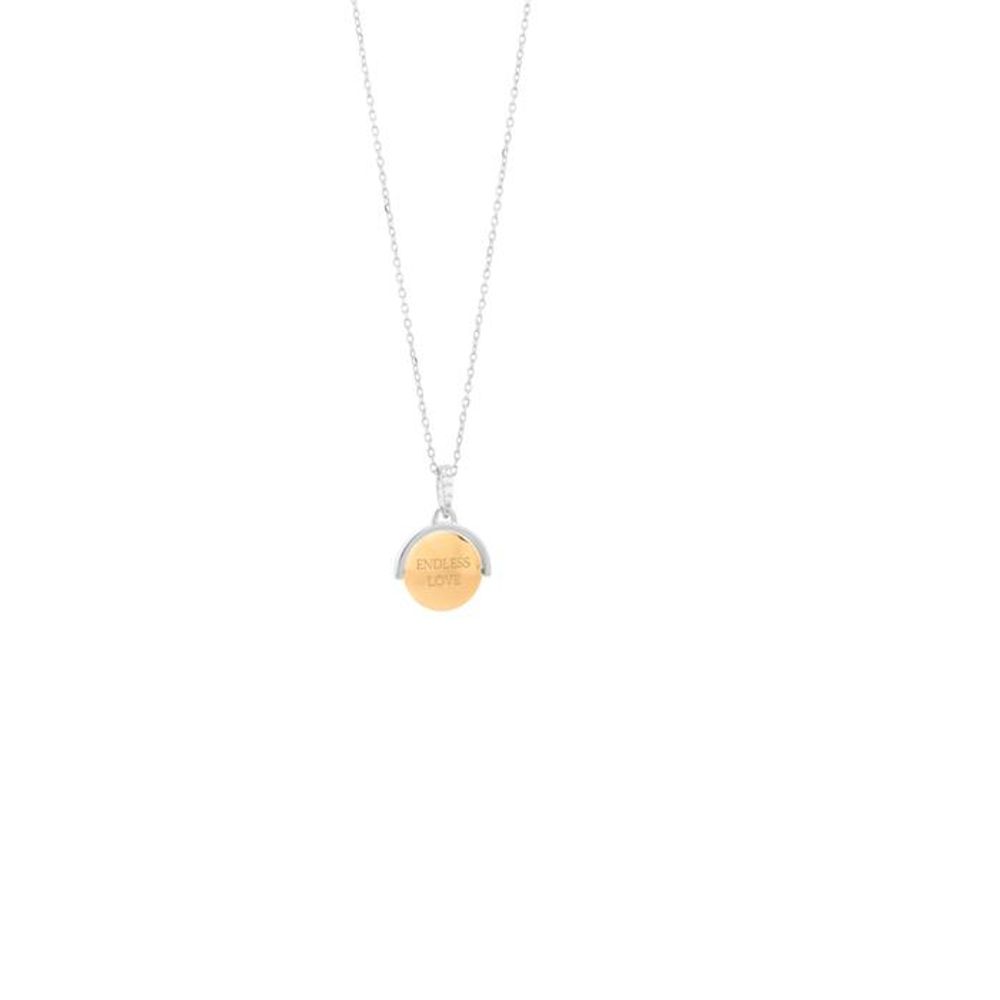 COLLIER SECRET Gray Silver
