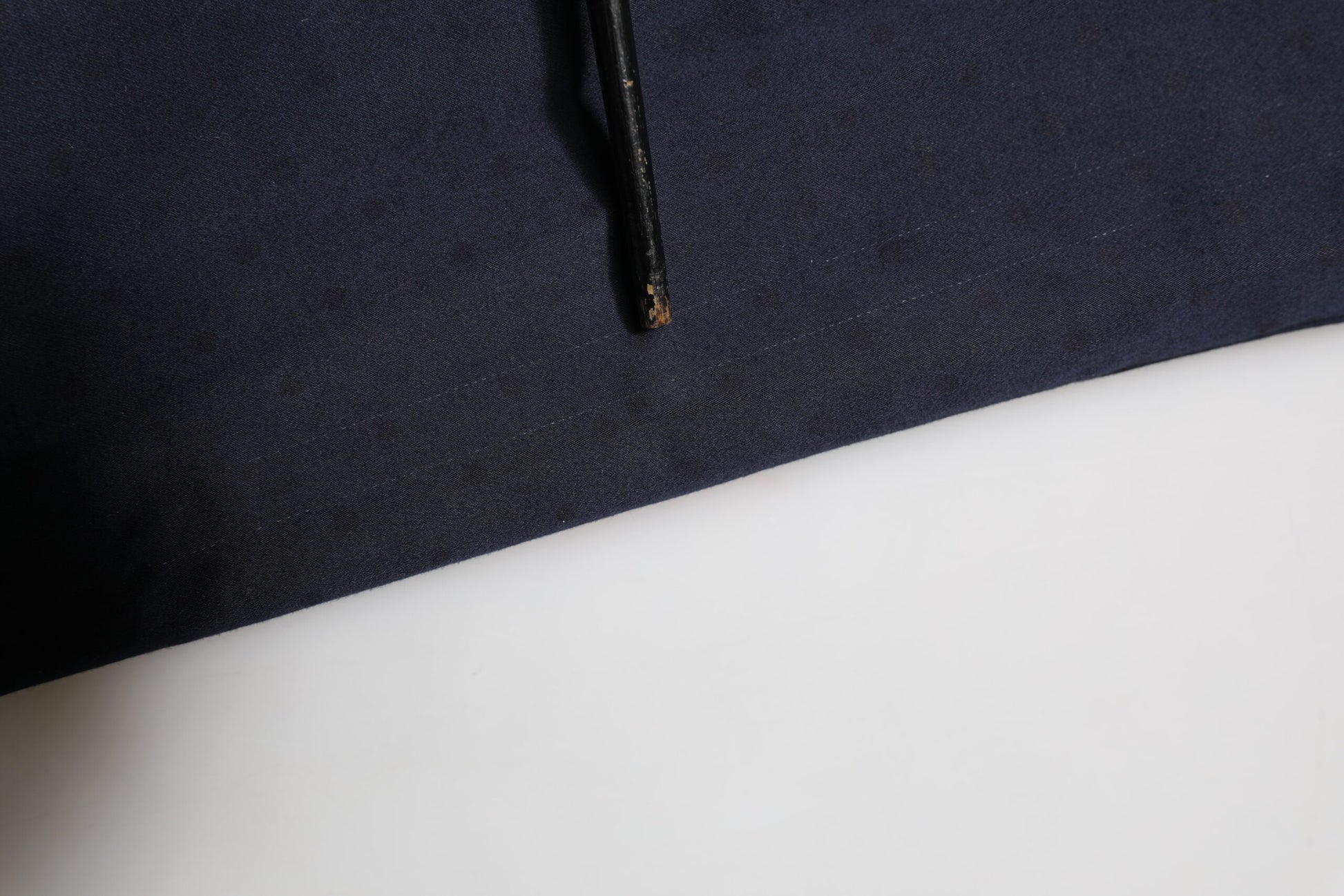Domenico Tagliente Blue Chino Pants for Women additional view