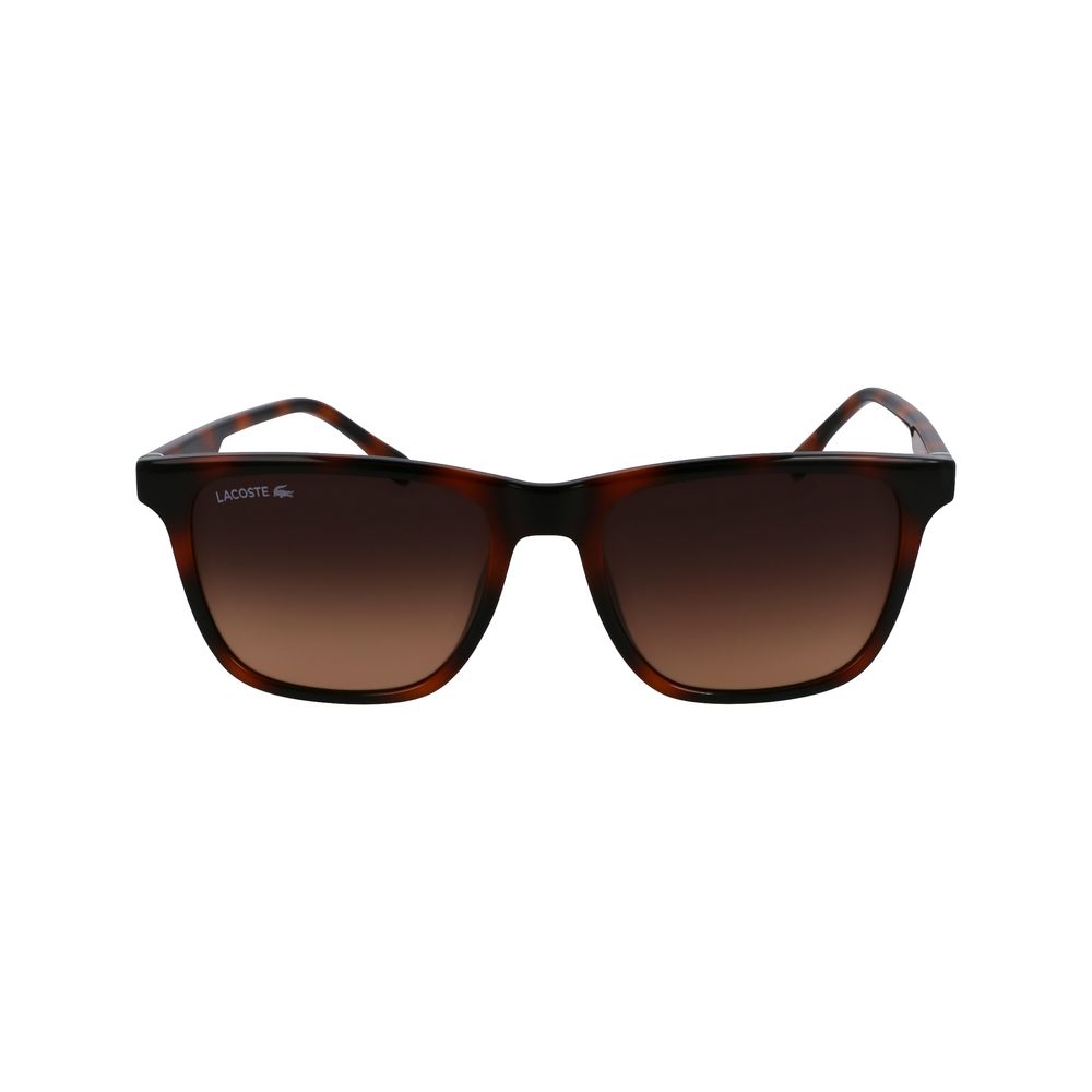 Lacoste Brown Sunglasses for Men alternate view