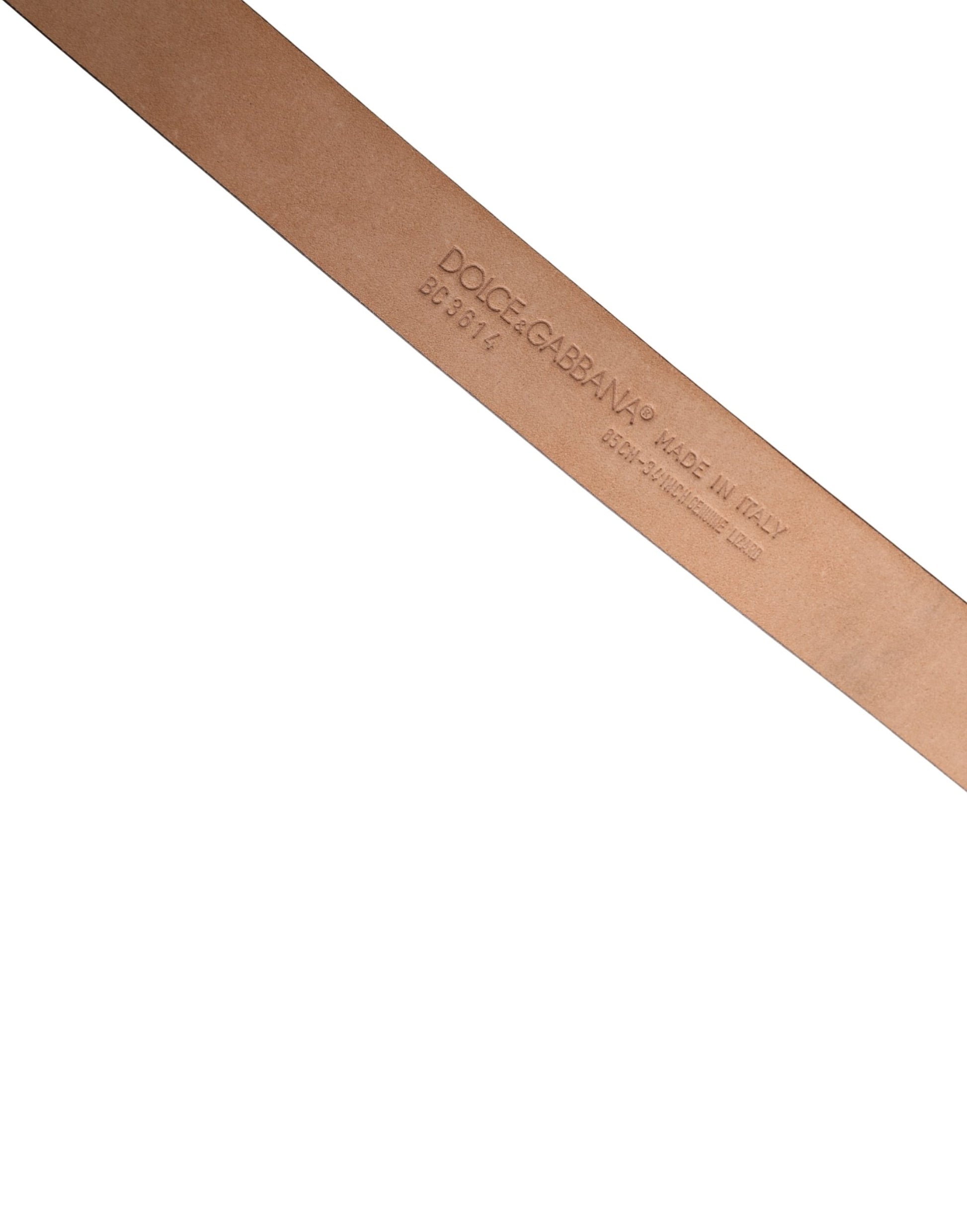 Dolce & Gabbana Brown Belt for Men additional view