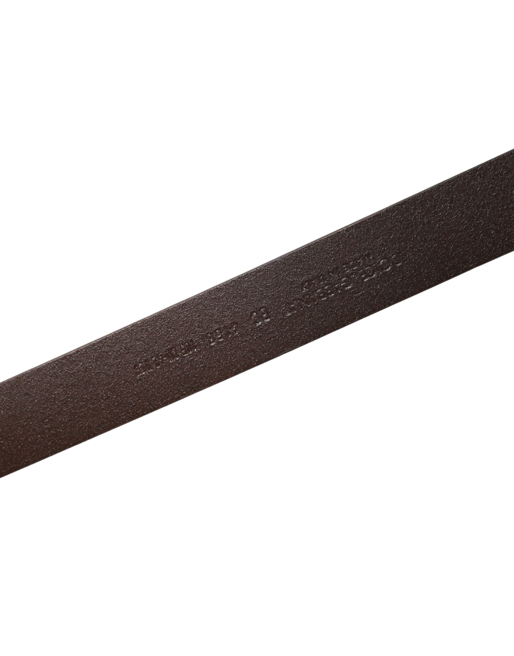 Dolce & Gabbana Brown Belt for Men additional view