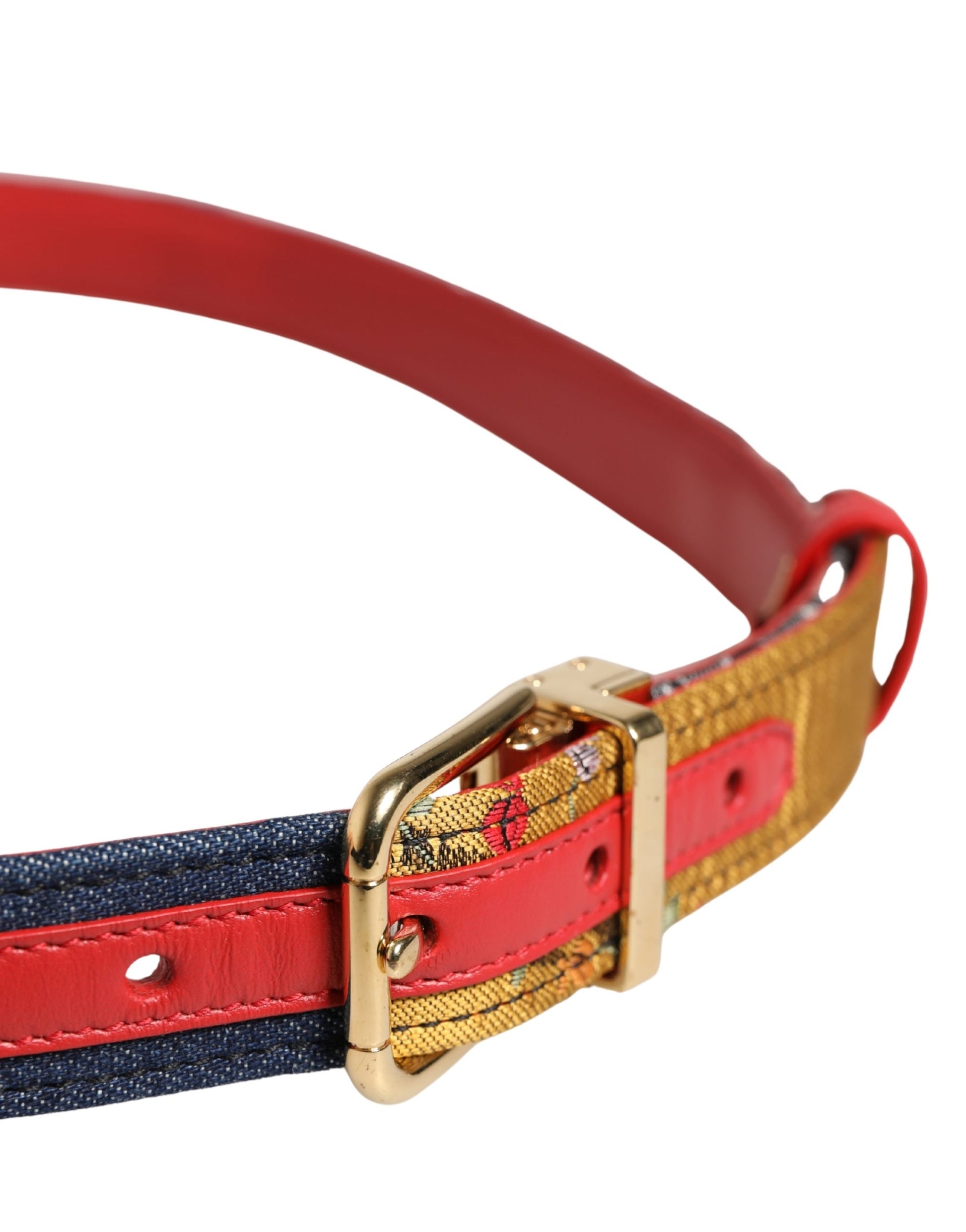 Dolce & Gabbana Multicolor Belt for Women side view