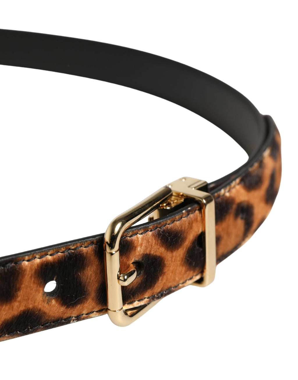 Dolce & Gabbana Brown Belt for Women side view