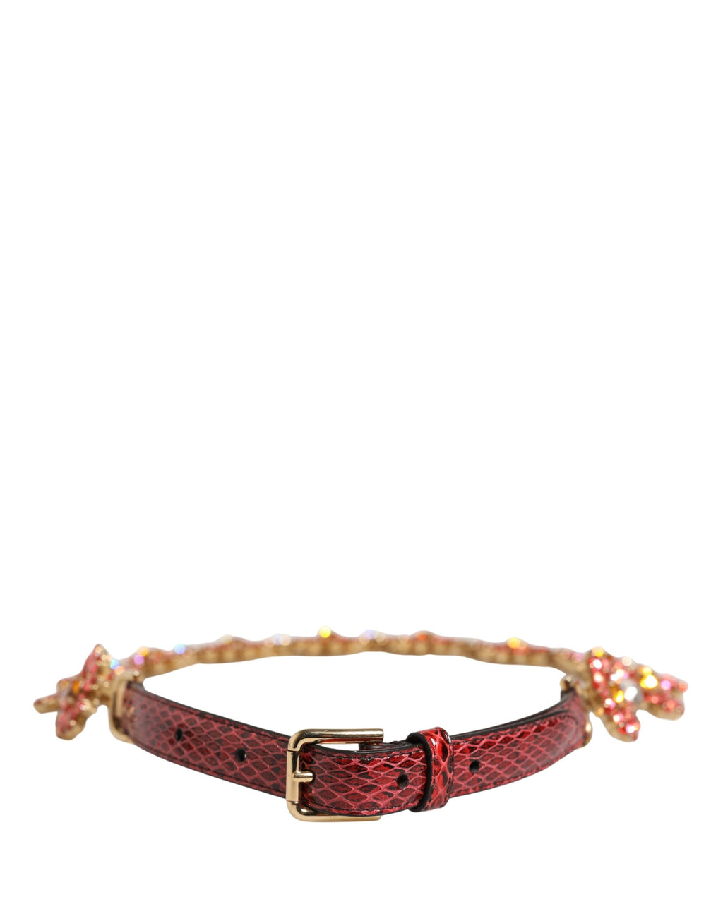 Dolce & Gabbana Red Belt for Women detail view