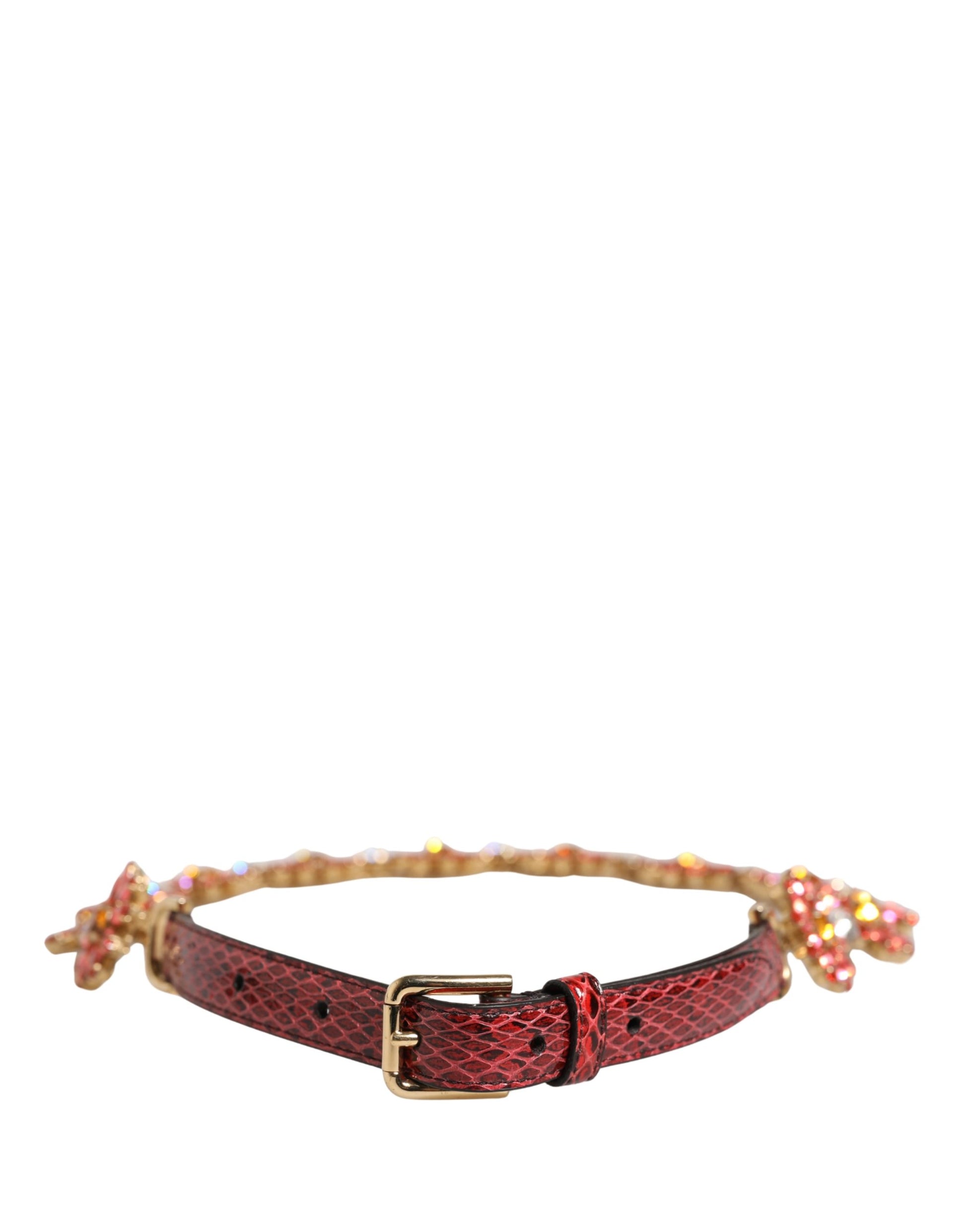 Dolce & Gabbana Red Belt for Women detail view