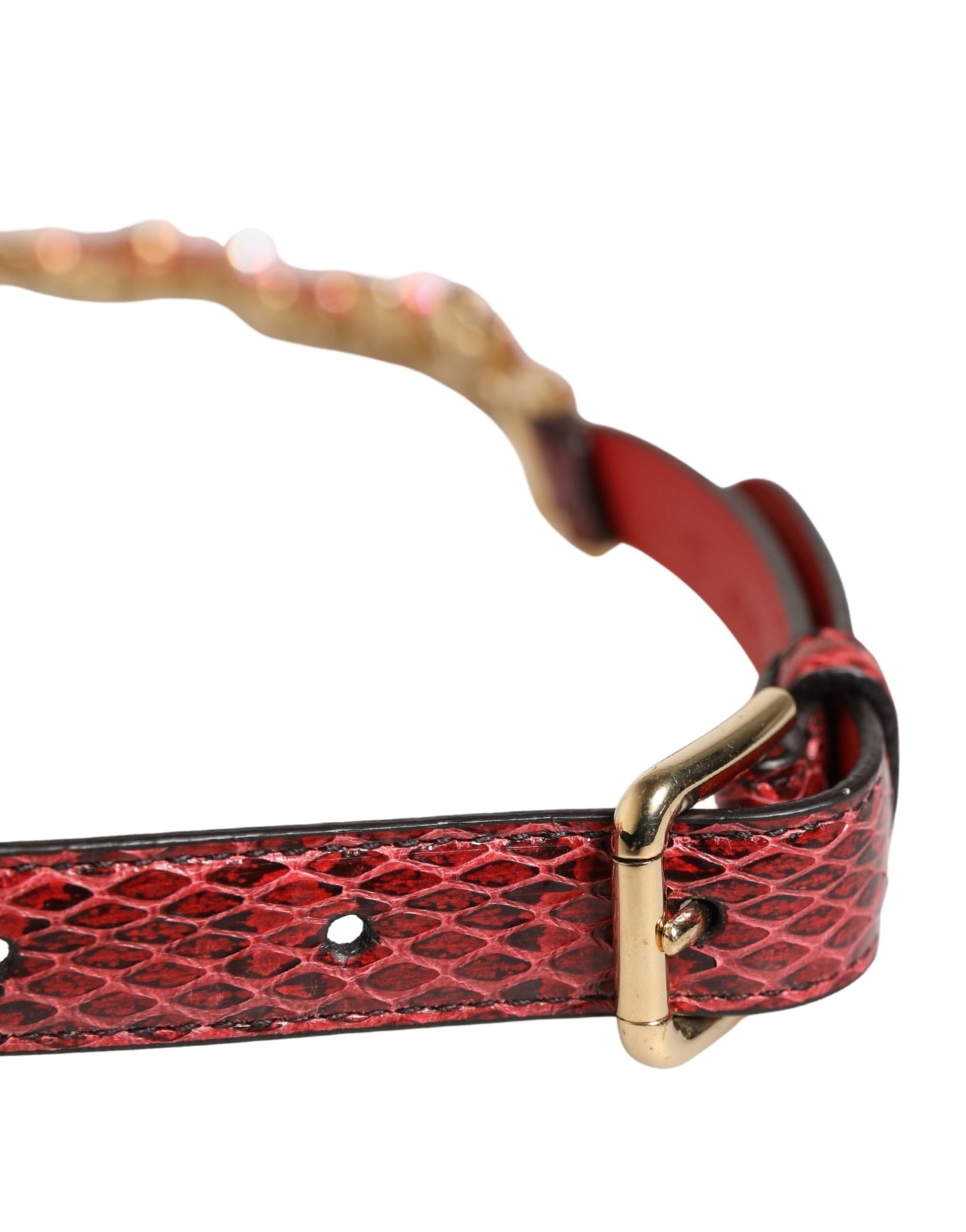 Dolce & Gabbana Red Belt for Women side view