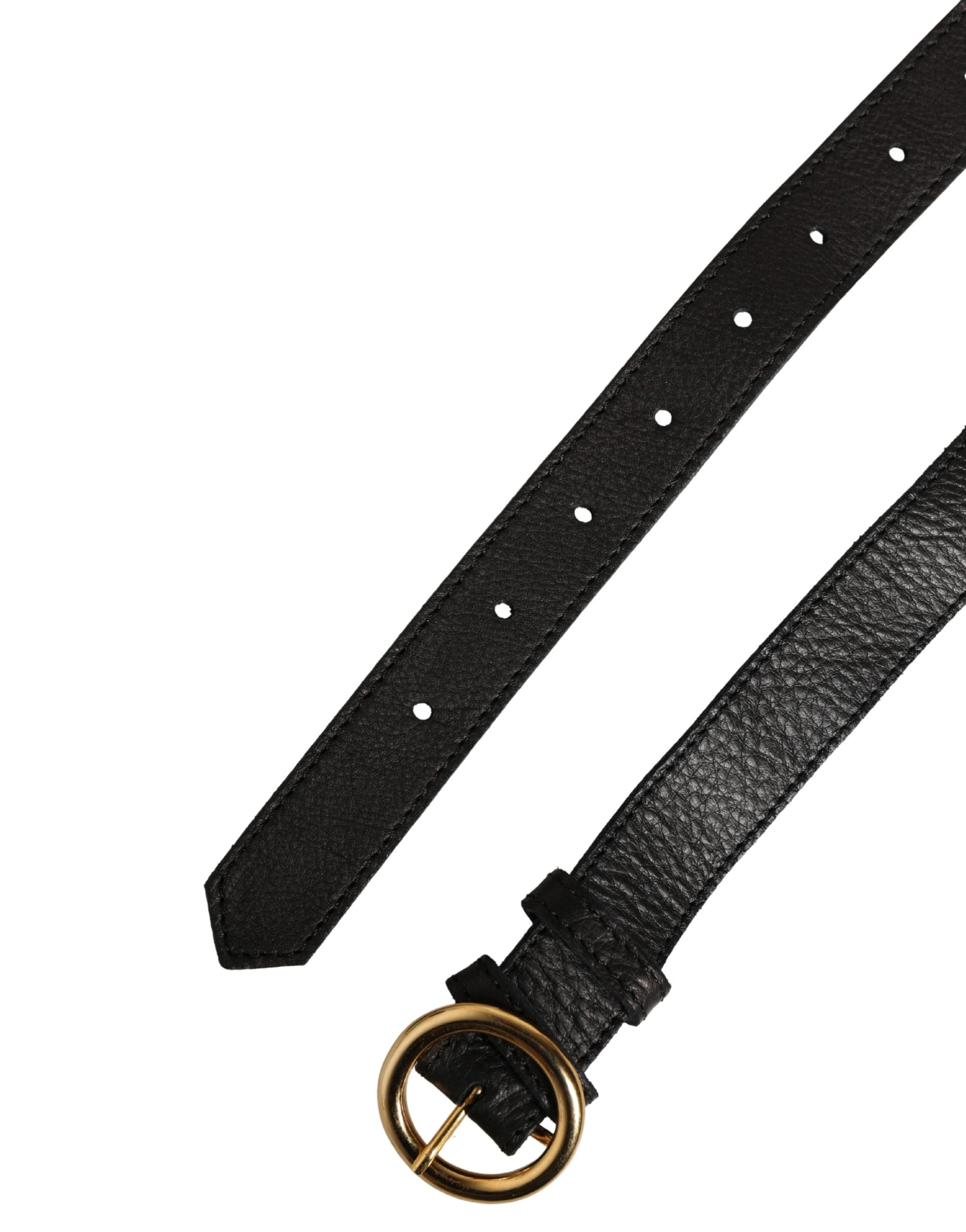Cavalli Class Multicolor Belt for Women additional view