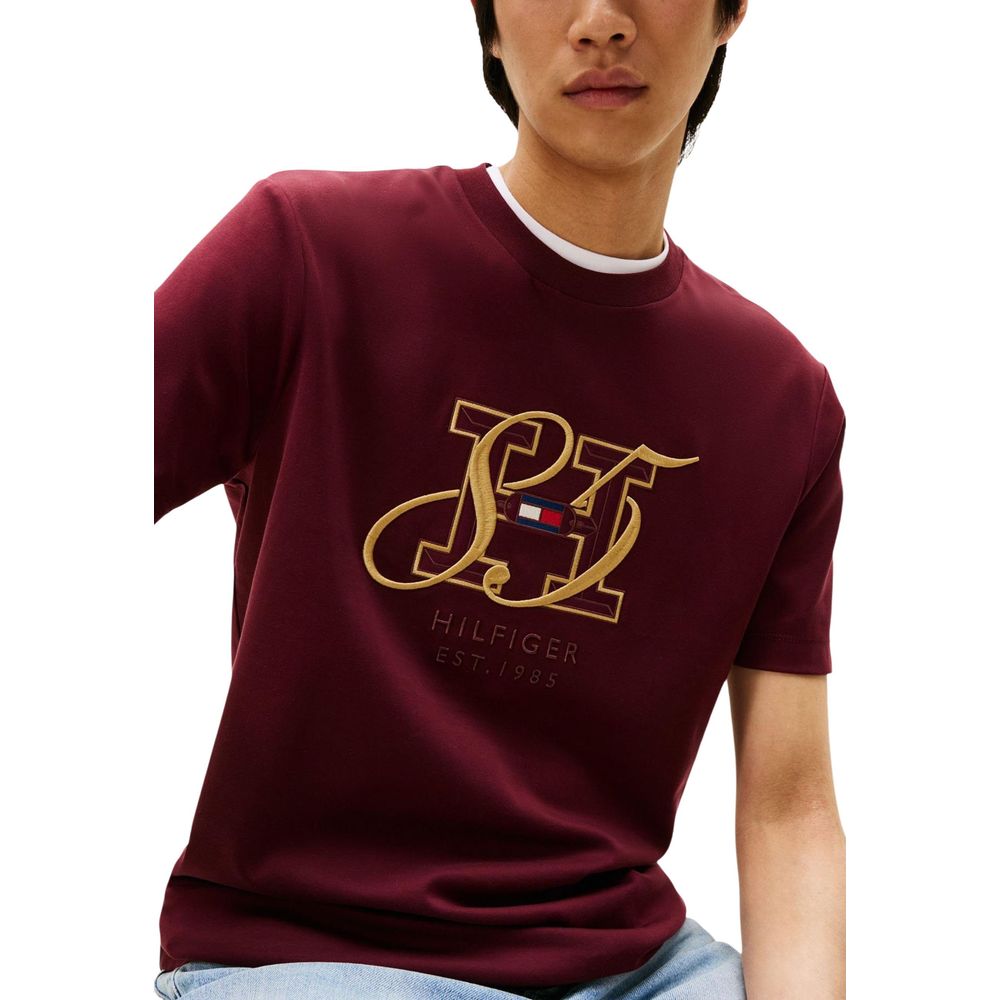 Tommy Hilfiger Red T-Shirts for Men detail view
