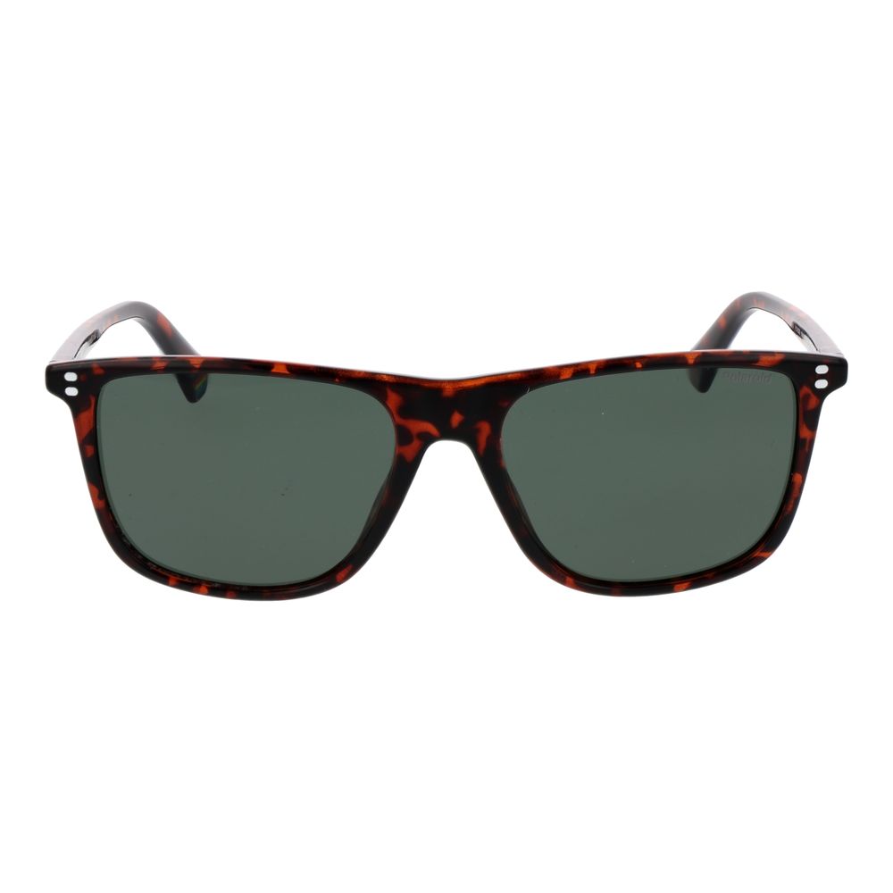 Polaroid Brown Sunglasses for Men alternate view