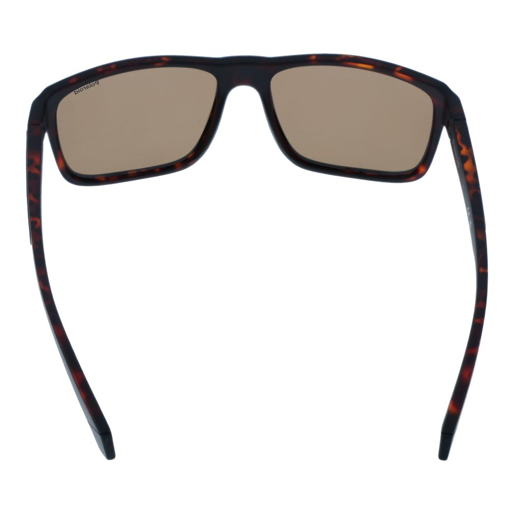 Polaroid Brown Sunglasses for Men detail view
