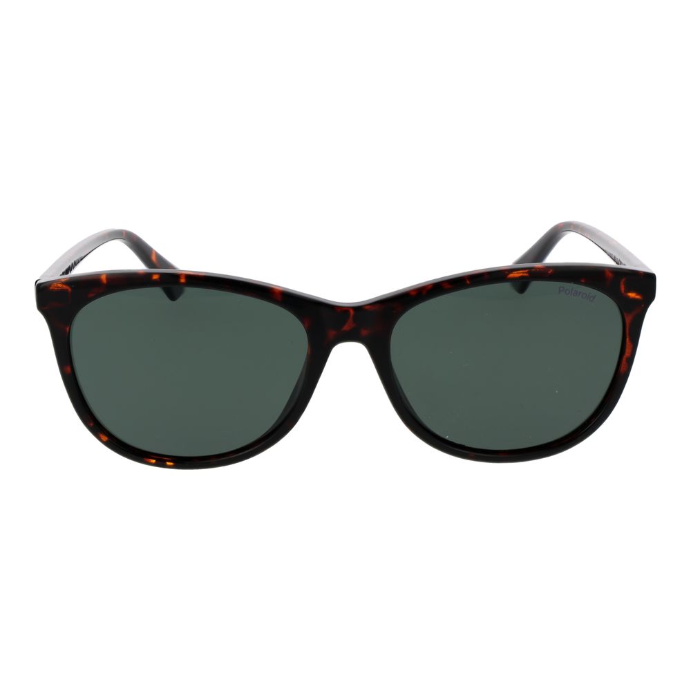 Polaroid Brown Sunglasses for Women alternate view