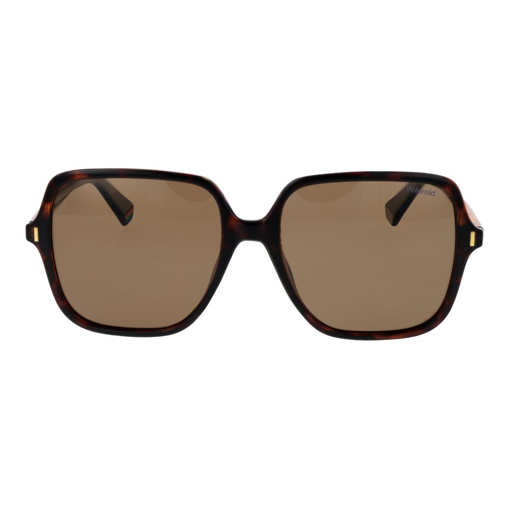 Lunettes de soleil Polaroid en plastique marron
