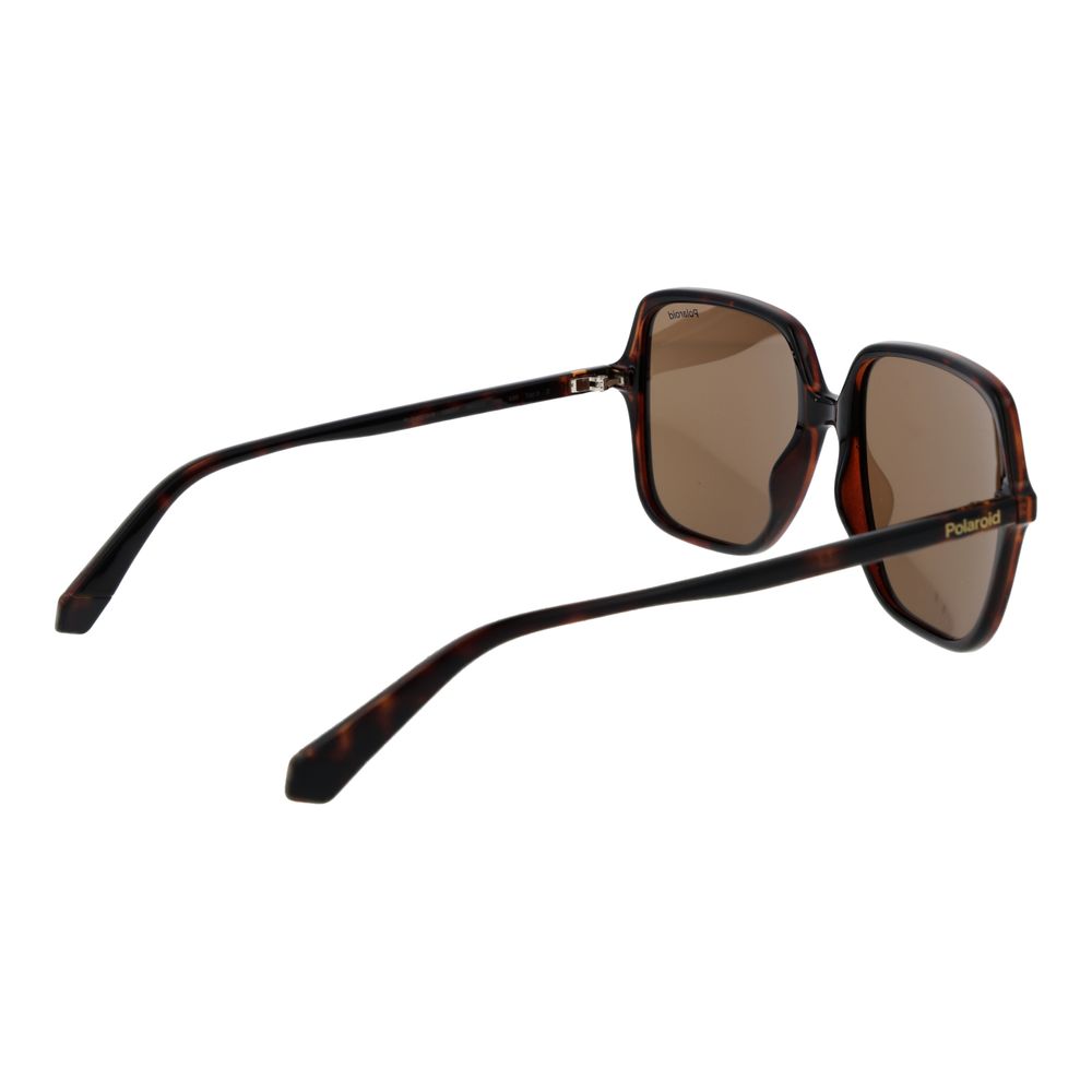 Lunettes de soleil Polaroid en plastique marron