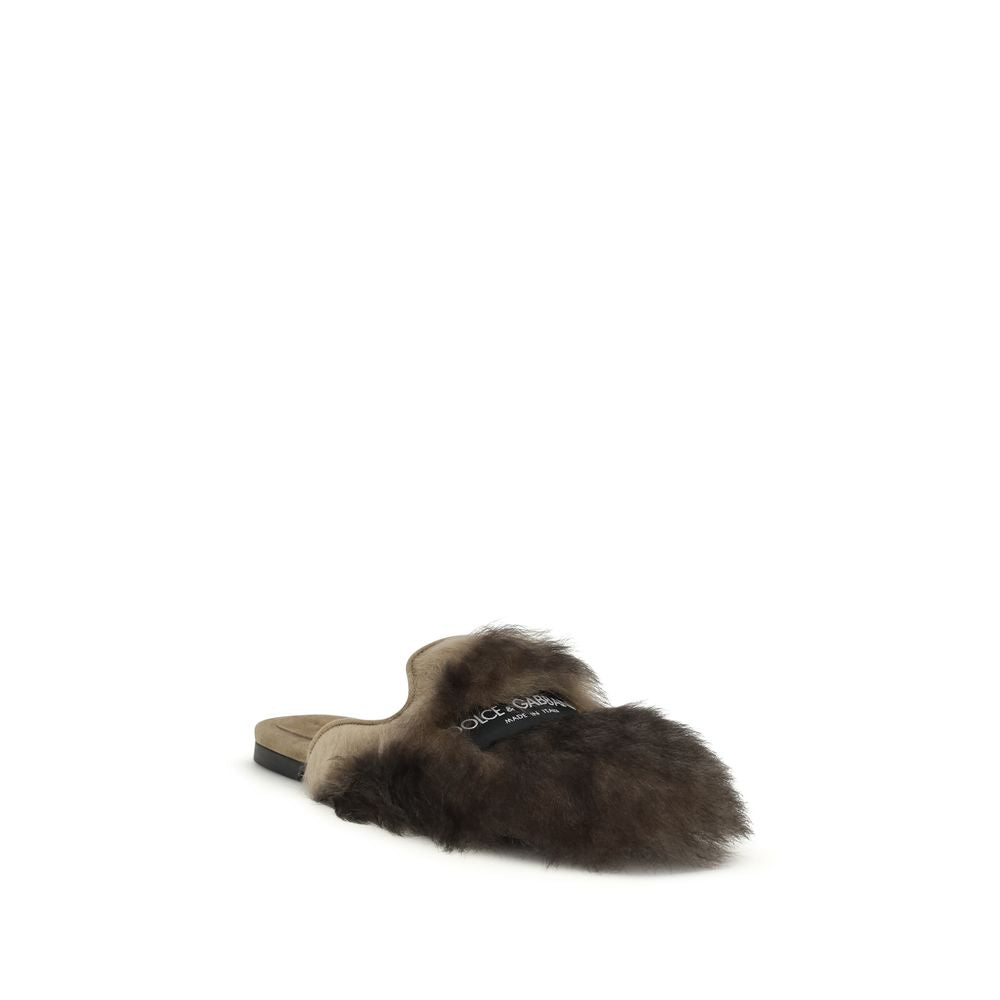 Mules Dolce & Gabbana grises en agneau Ovis Aries Aries