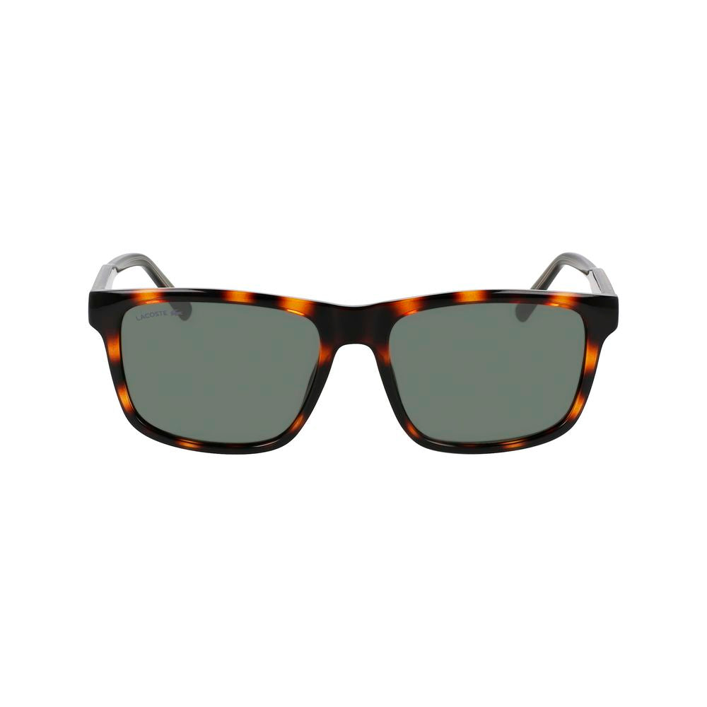 Lacoste Brown Sunglasses for Men alternate view