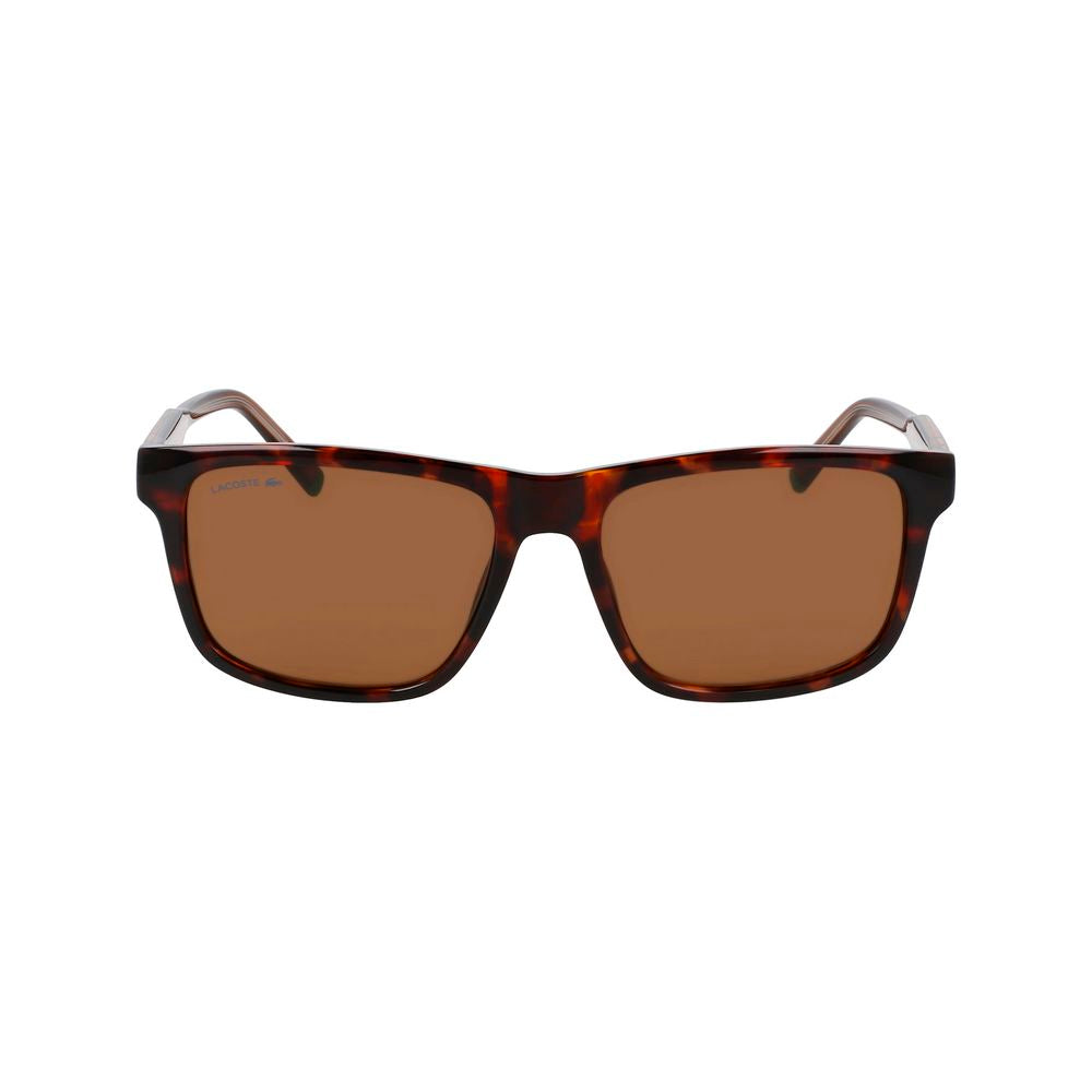 Lacoste Brown Sunglasses for Men alternate view