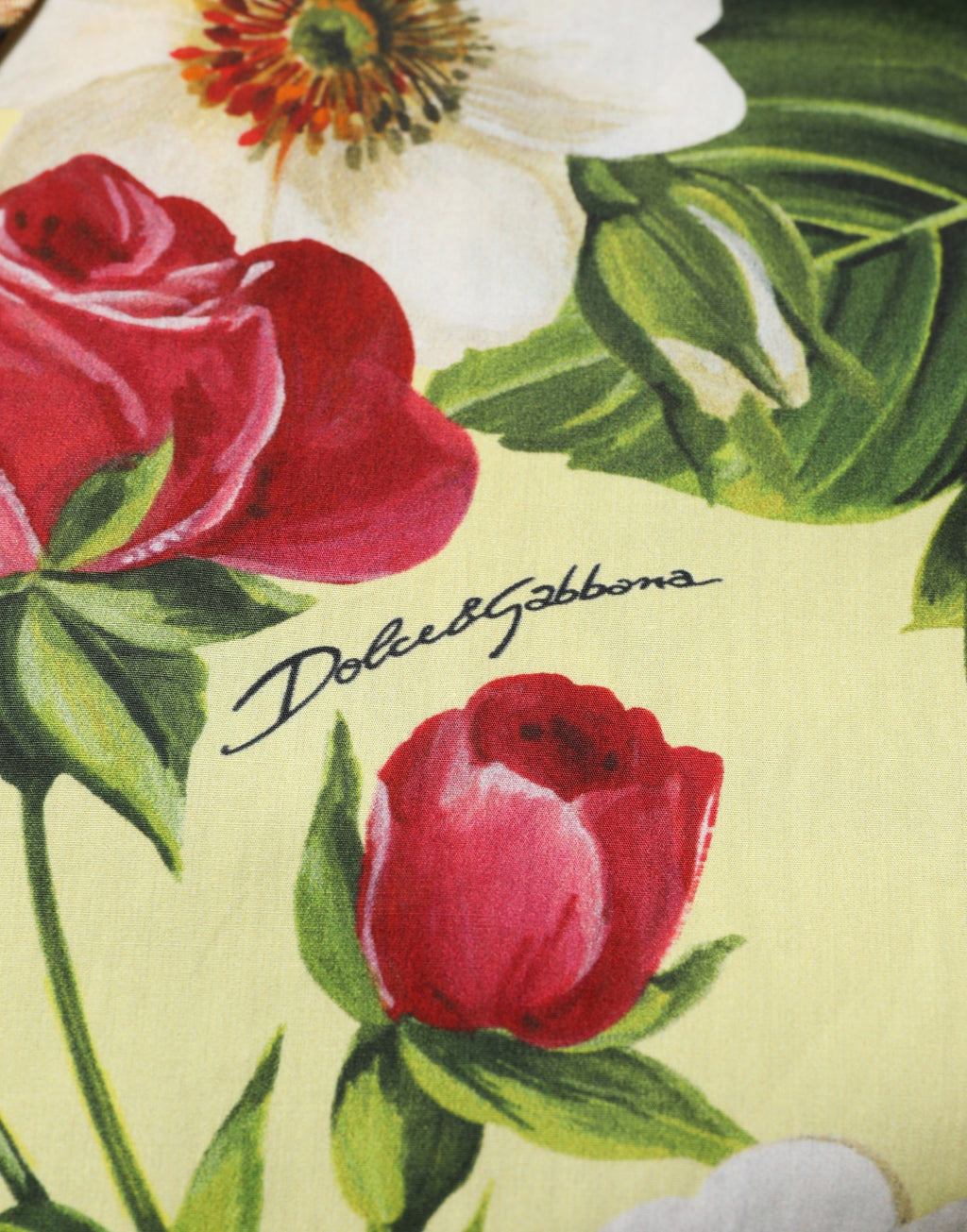 Dolce & Gabbana Multicolor Dress Shirt for Men additional view