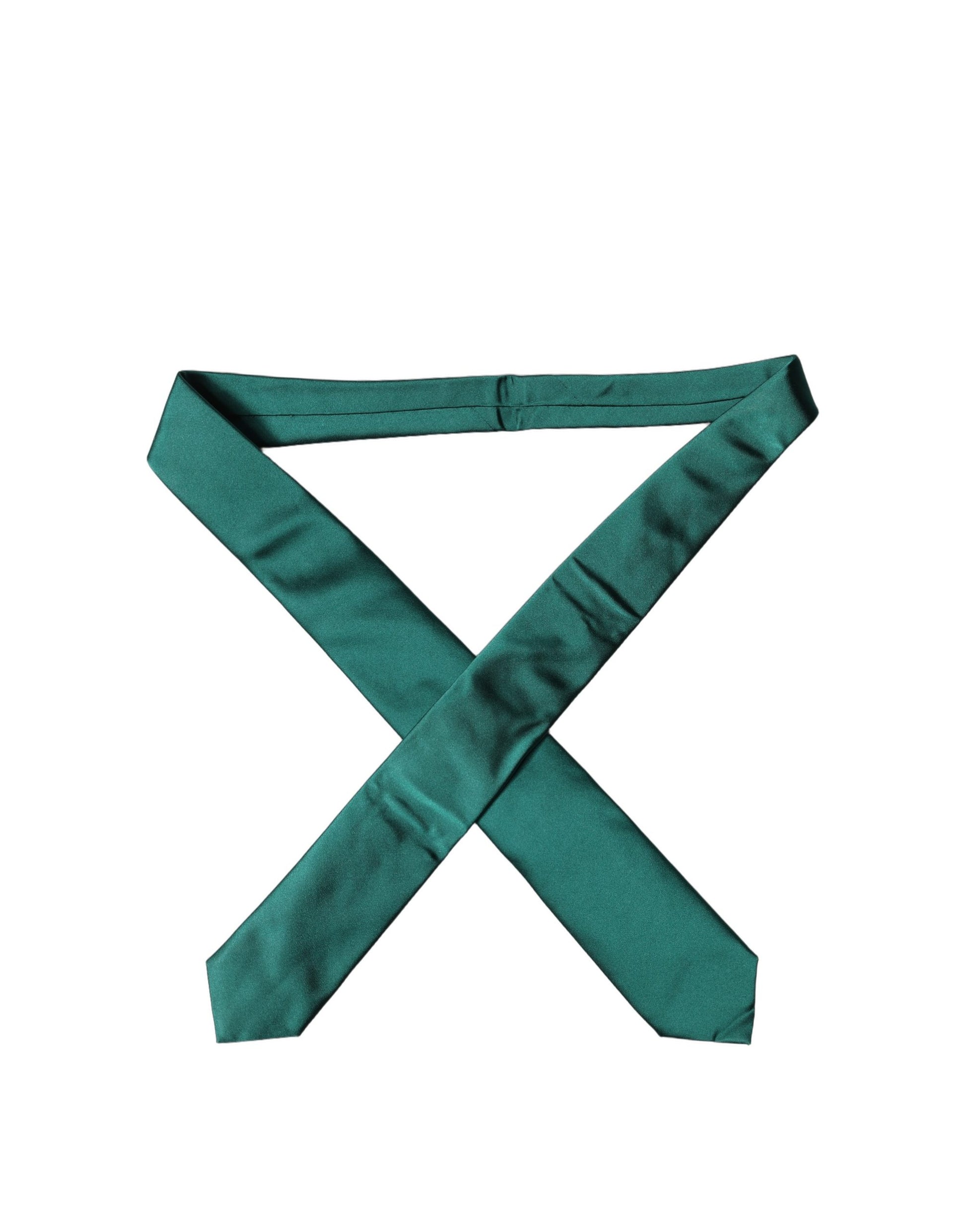 Dolce & Gabbana Green Ties for Women alternate view