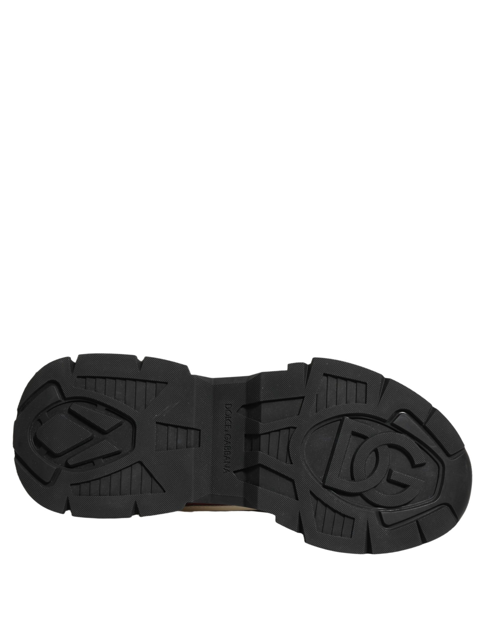 Dolce & Gabbana Multicolor Low Top Sneakers for Men additional view