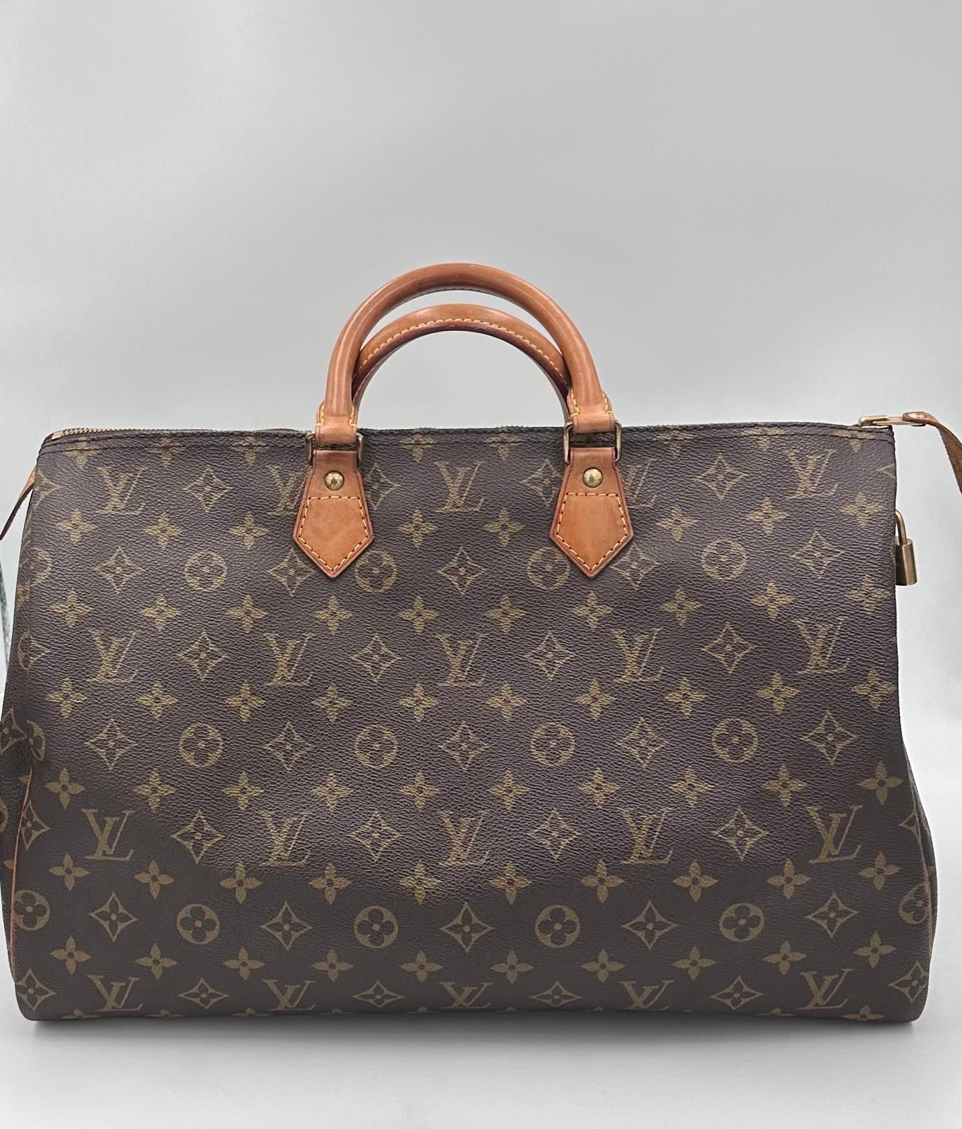 Louis Vuitton Multicolor Handbag Unisex