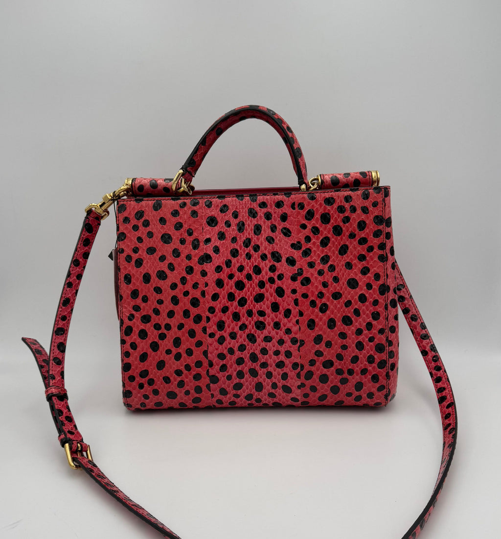 Dolce & Gabbana Multicolor Handbag for Women