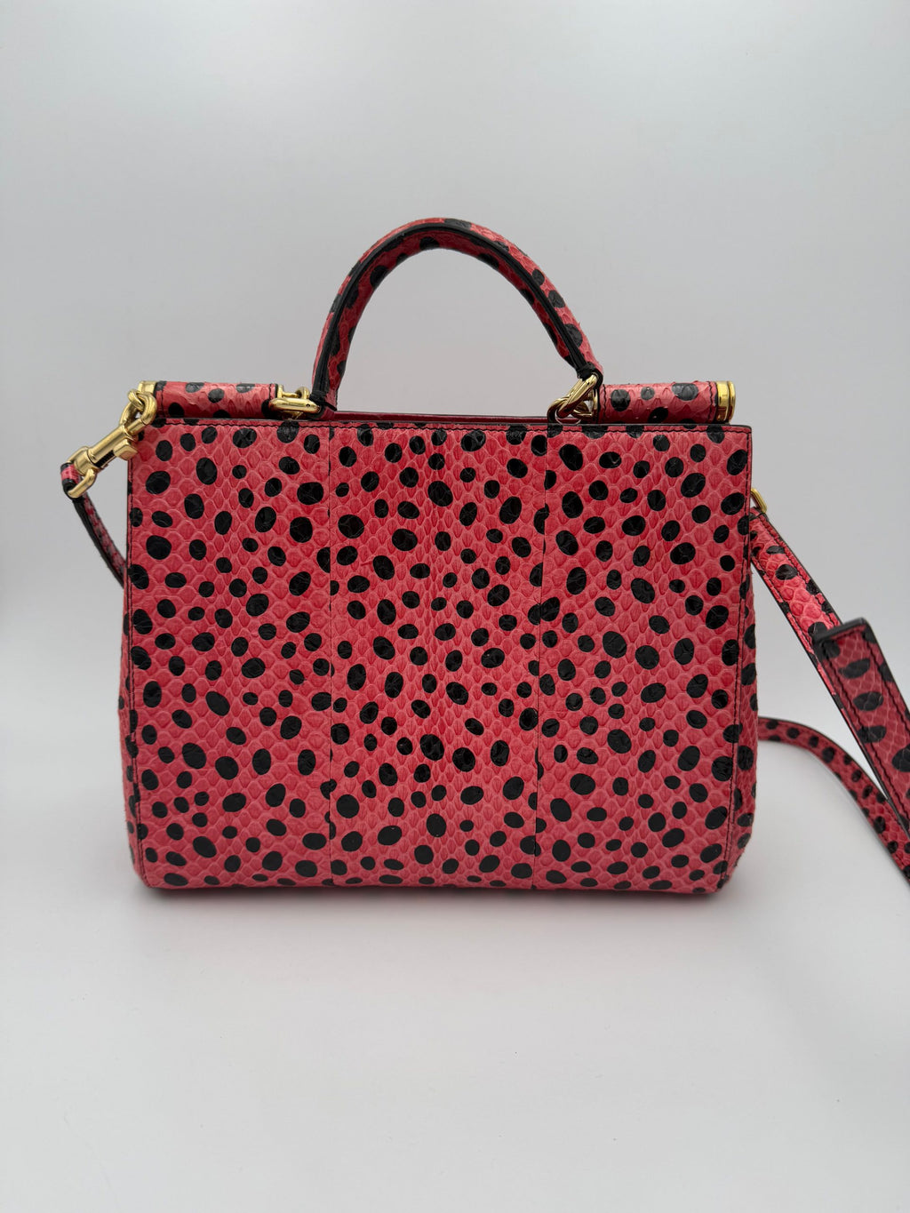 Dolce & Gabbana Multicolor Handbag for Women detail view