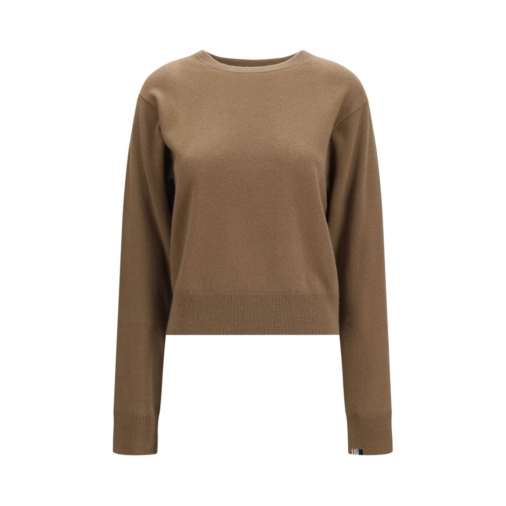 Extreme Cashmere Brown Cashmere Sweater