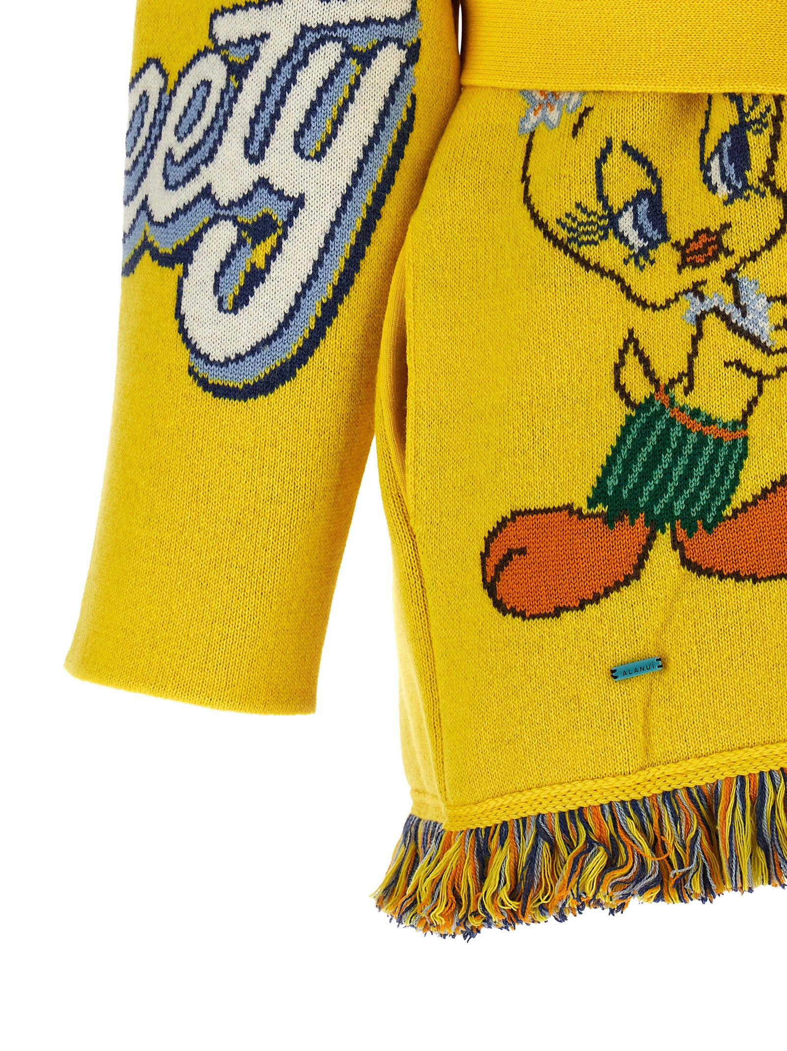 Alanui Multicolor Virgin Wool Cardigan