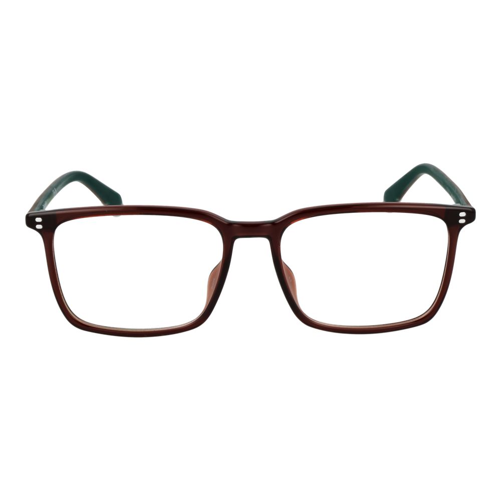 Polaroid Brown Polyamide Glasses (Frames)