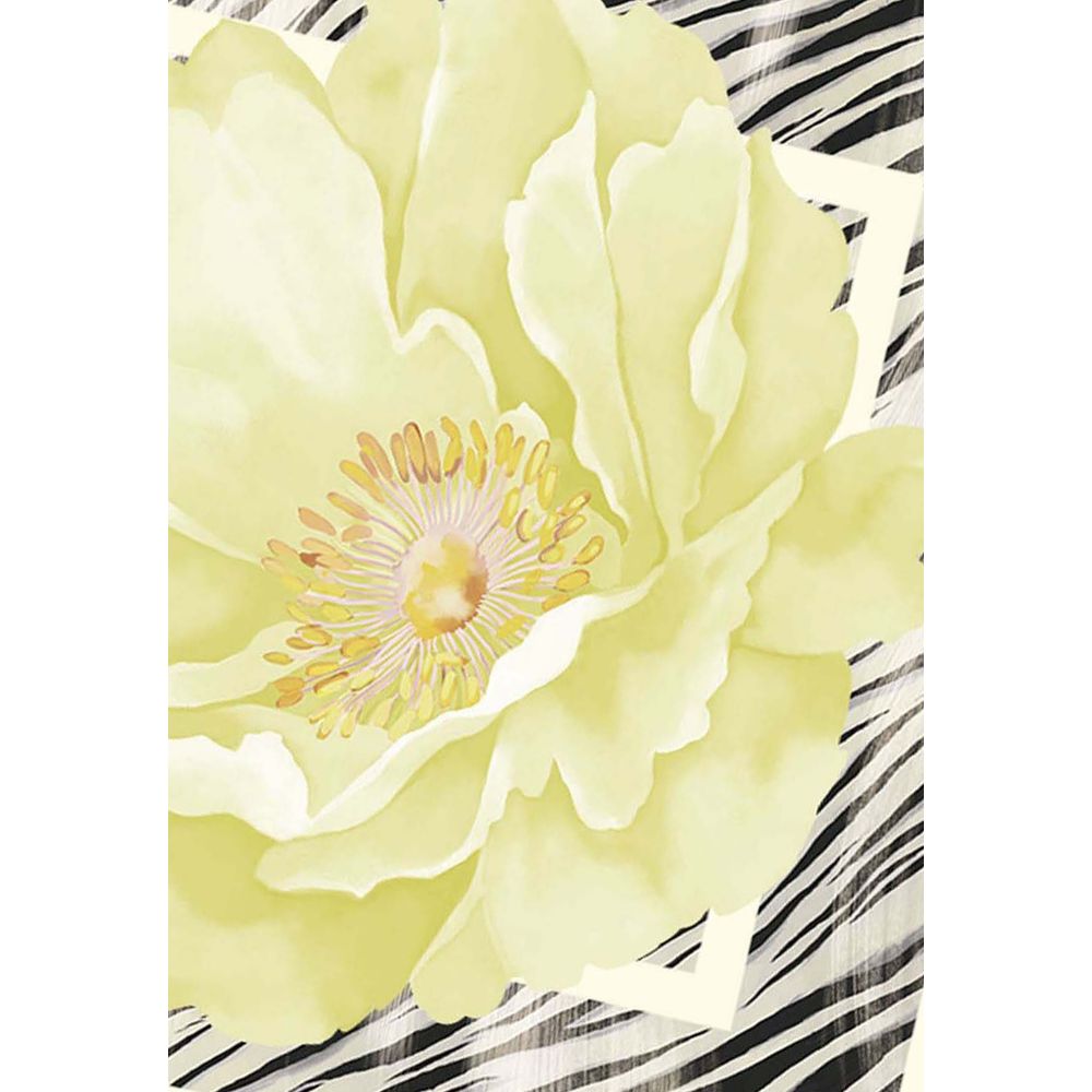 Liu Jo Gray Polyester Foulard