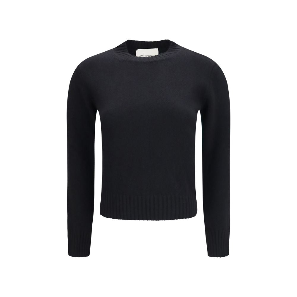 Ami Paris Schwarzes Wolle Oves Aries Sweatshirt