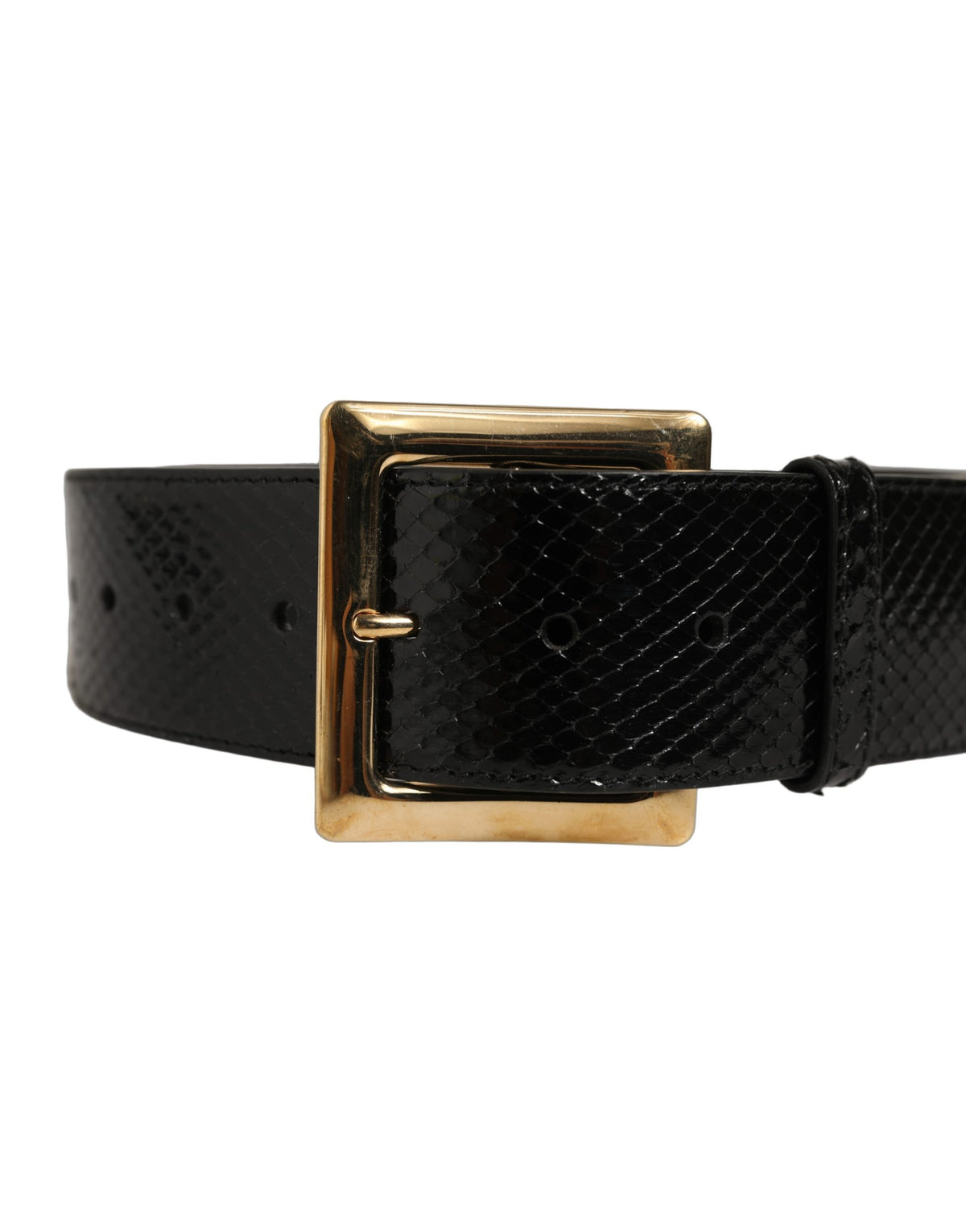 Dolce & Gabbana Black Exotic Leather Gold Metal Buckle Belt