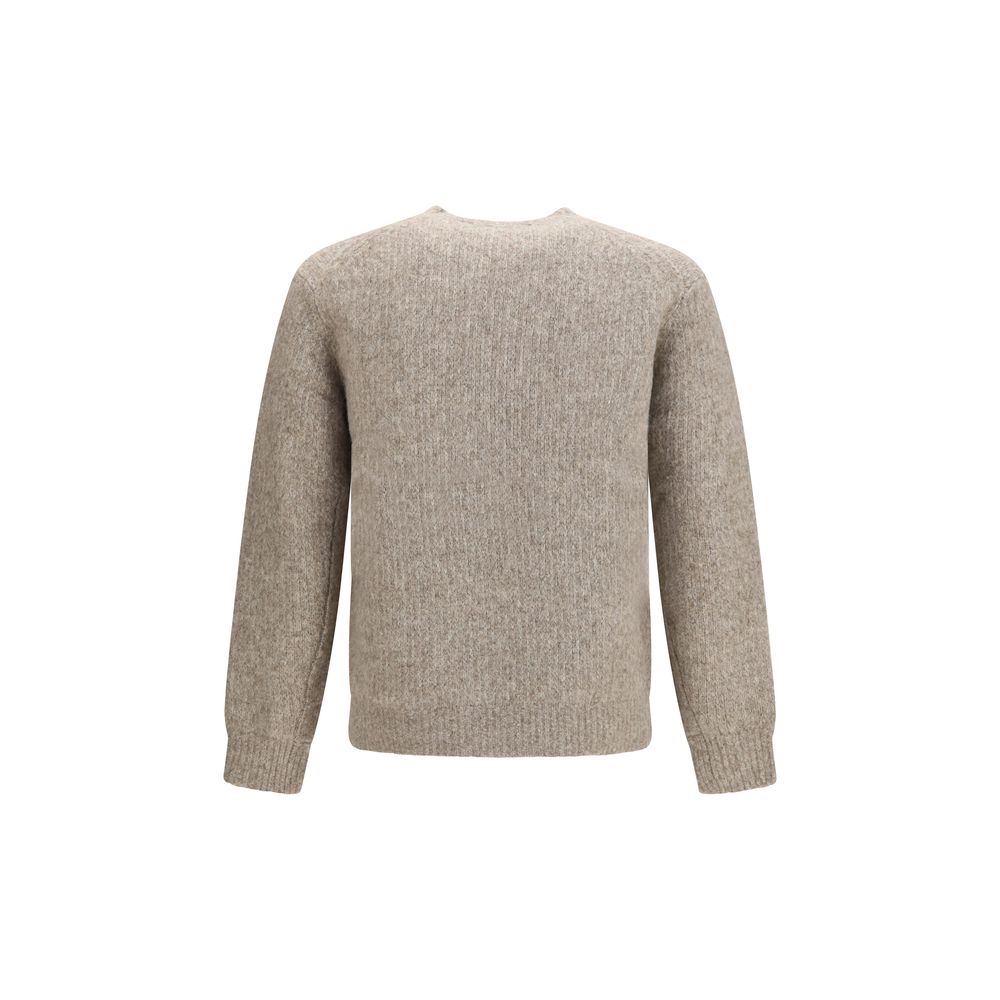 Sunflower Gray Alpaca Vicugna Pacos Sweatshirt