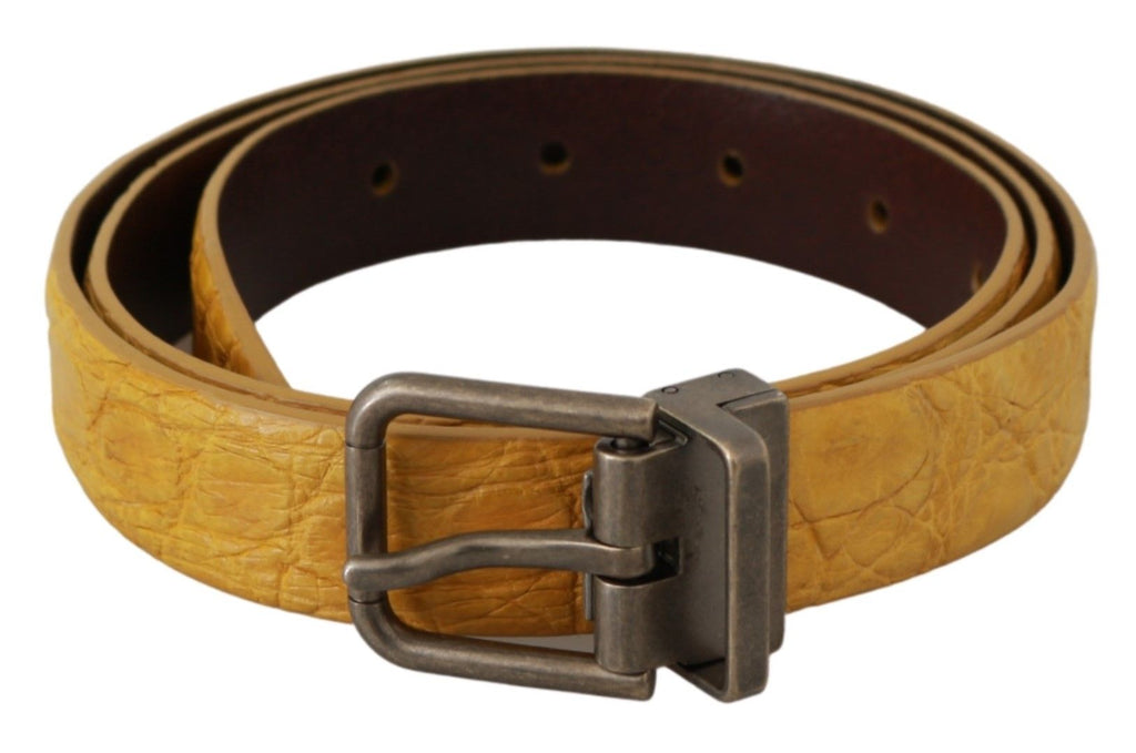 Dolce & Gabbana Grey Belt for Men