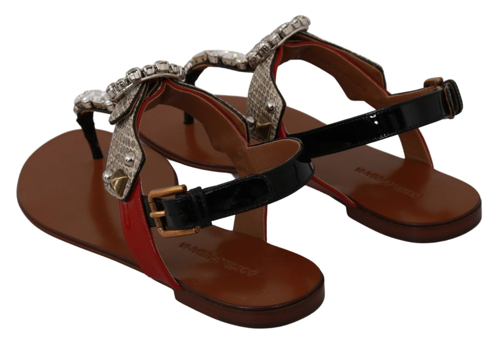 Dolce & Gabbana Brown Flip Flop Sandals for Women side view
