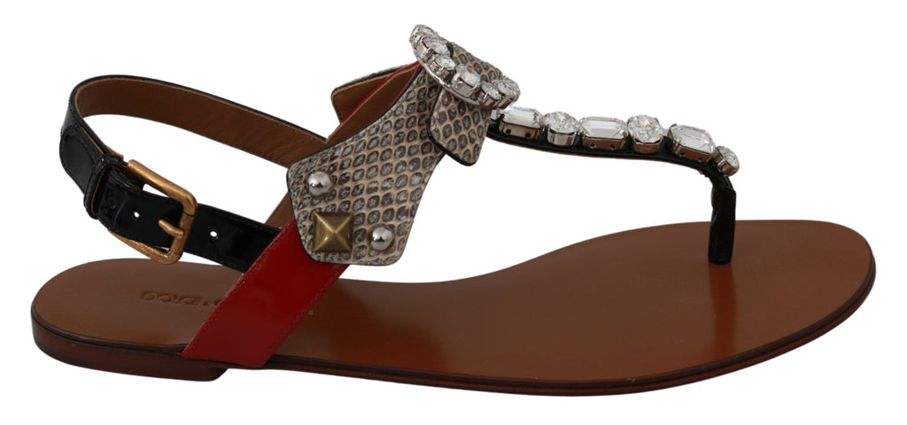 Dolce & Gabbana Brown Flip Flop Sandals for Women