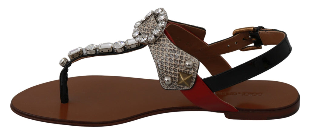Dolce & Gabbana Brown Flip Flop Sandals for Women additional view