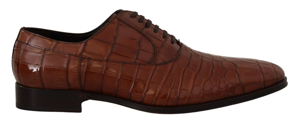Dolce & Gabbana Brown Oxfords And Derbies for Men