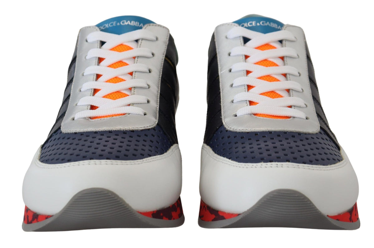 Dolce & Gabbana Multicolor Sportliche Low-Top-Sneaker aus Leder