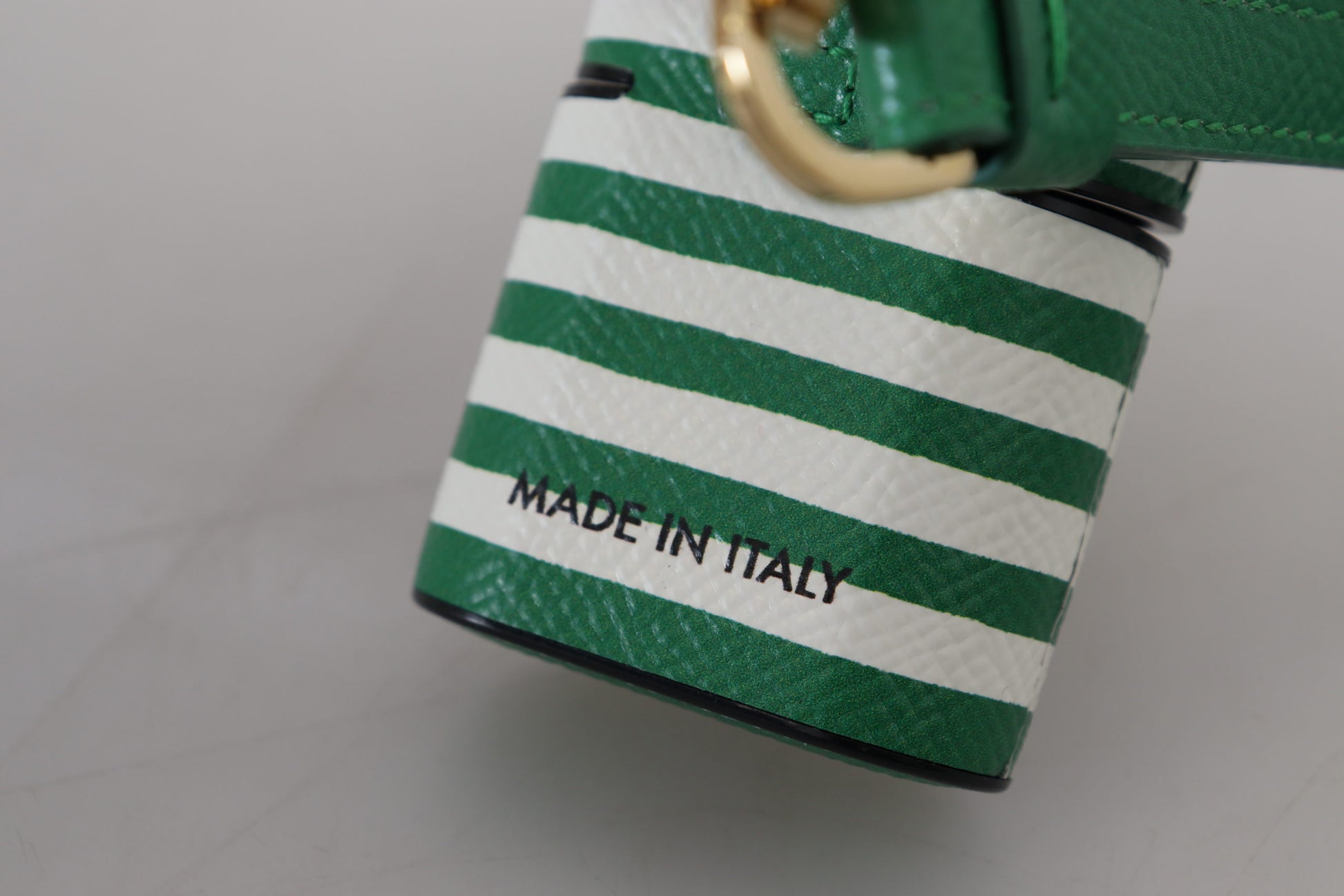 Dolce & Gabbana Green Airpod Holders for Women additional view