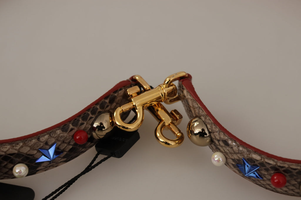 Bandoulière cloutée en cuir de python marron Dolce & Gabbana