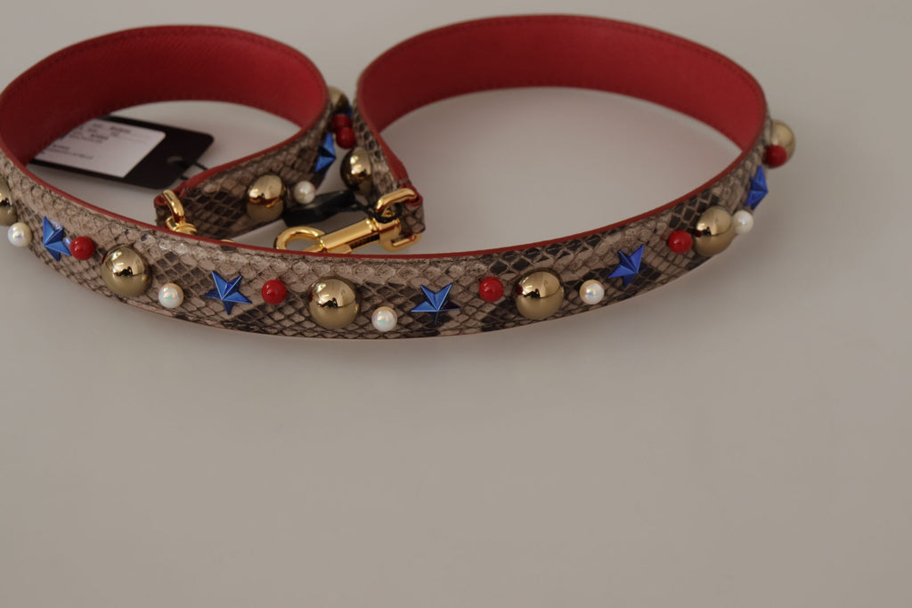 Bandoulière cloutée en cuir de python marron Dolce & Gabbana