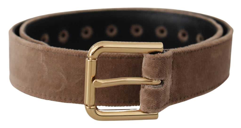 Ceinture Dolce & Gabbana en velours marron clair, avec boucle en métal doré et logo.