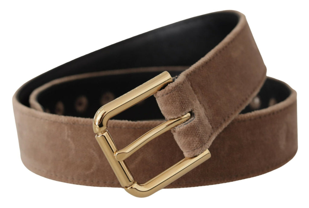 Ceinture Dolce & Gabbana en velours marron clair, avec boucle en métal doré et logo.