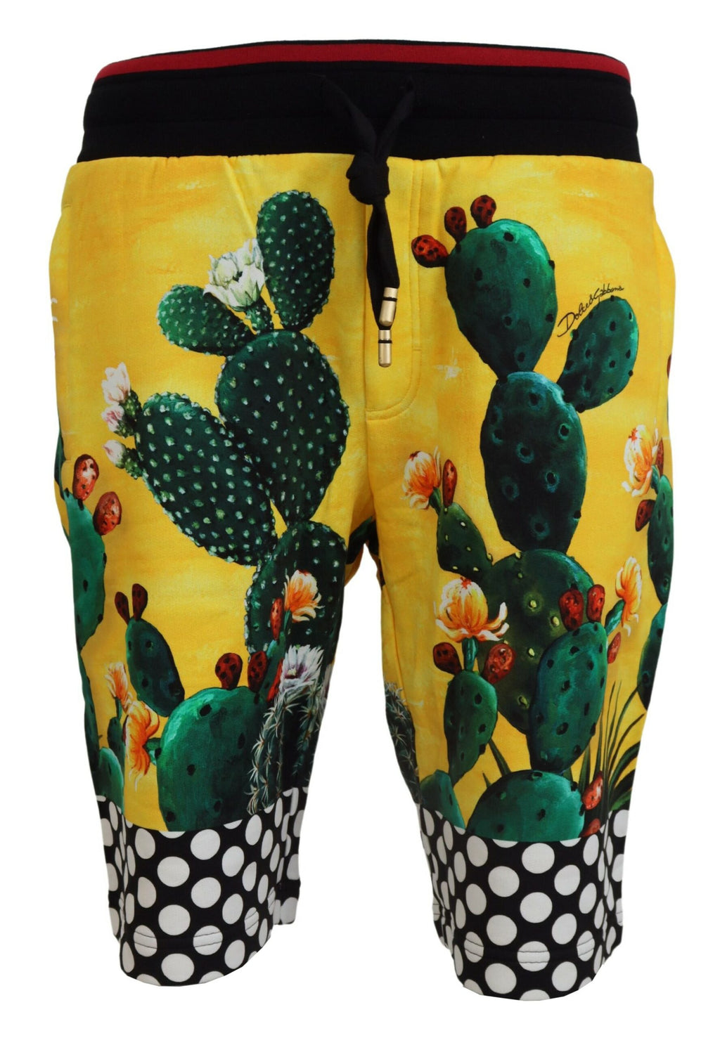 Dolce & Gabbana Multicolor Shorts for Men