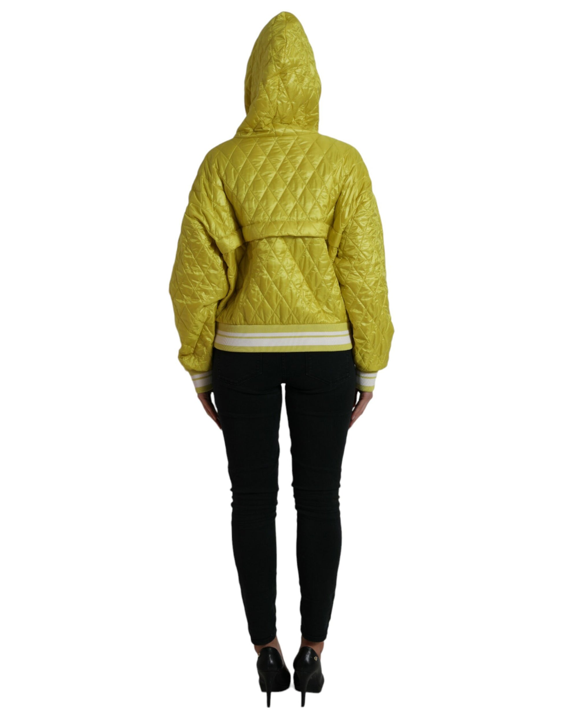 Dolce & Gabbana Yellow Bomber for Women detail view