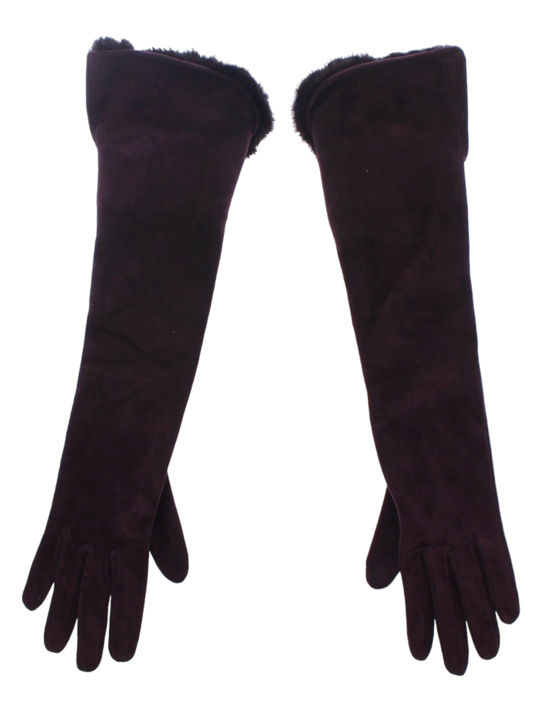 Dolce & Gabbana Purple Gloves for Women