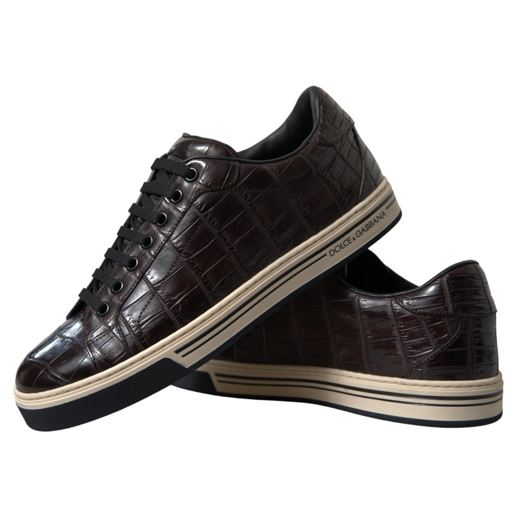 Dolce & Gabbana Brown Low Top Sneakers for Men additional view